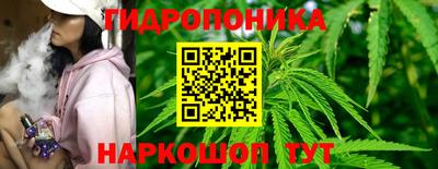 дурь Новокубанск