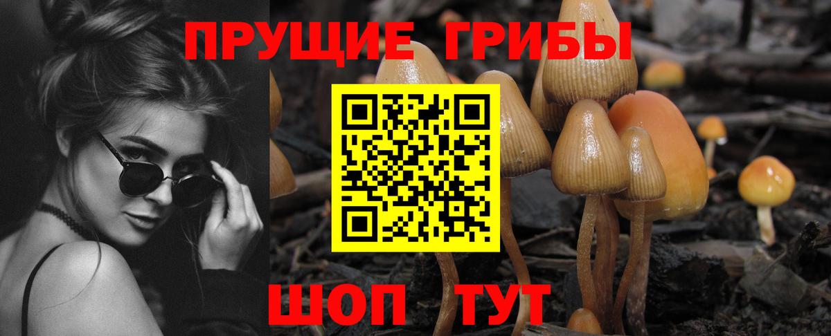 Псилоцибиновые грибы MAGIC MUSHROOMS  Вход с VPN  Новокуйбышевск 
